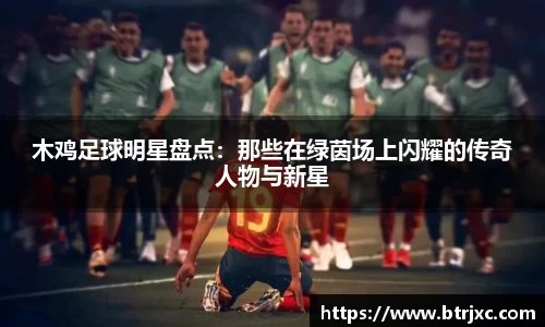 木鸡足球明星盘点：那些在绿茵场上闪耀的传奇人物与新星